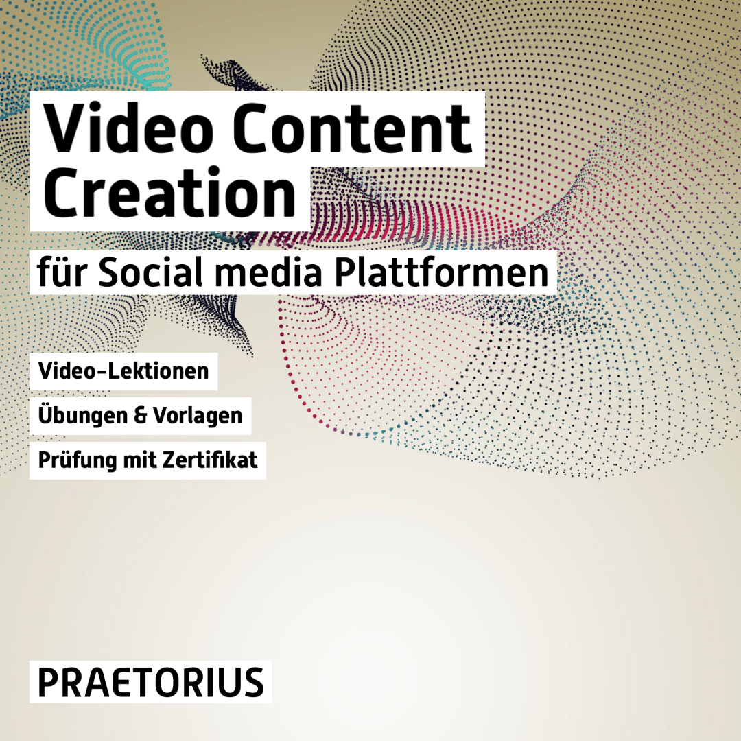 Video-Kurs: Video Content für Social Media Plattformen