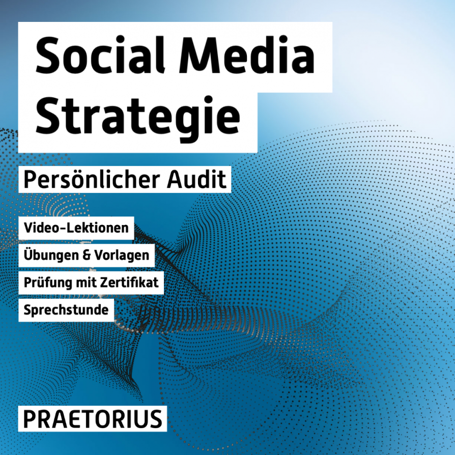 Video-Kurs Social Media Strategie Audit
