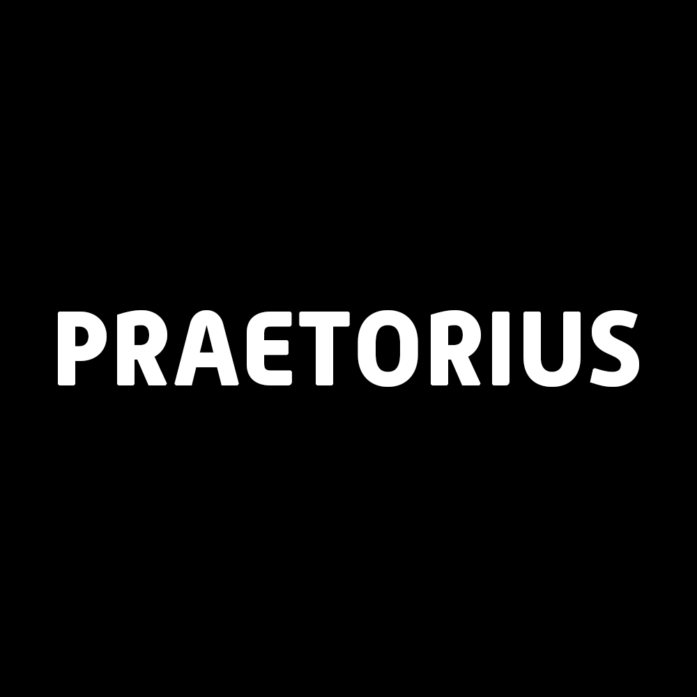 (c) Praetorius.com