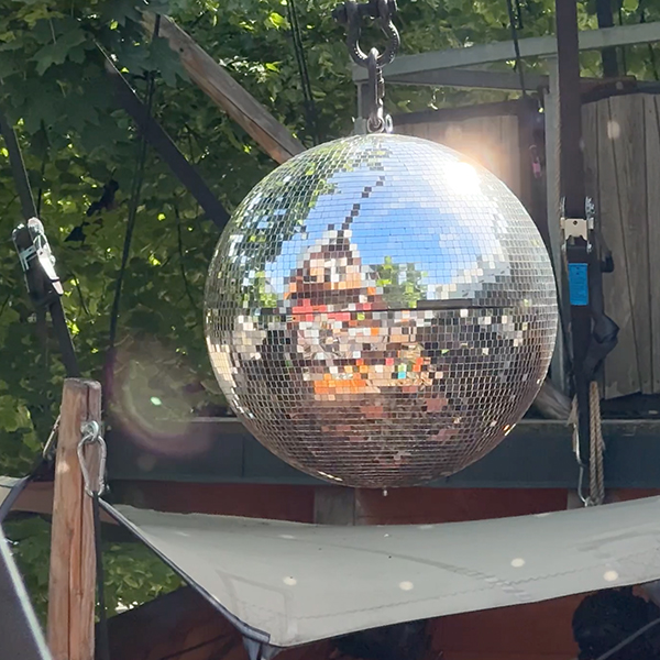 Discokugel Gans Woanders